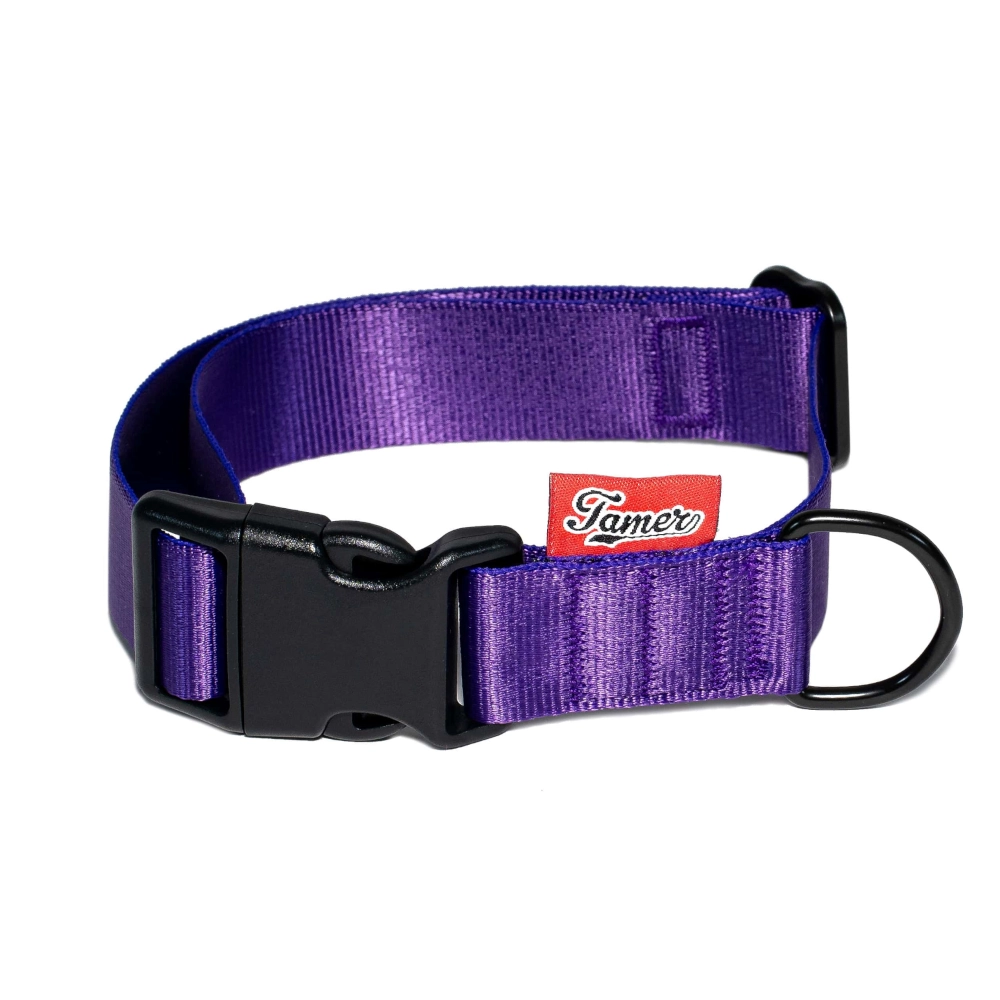 BASIC Halsbänder